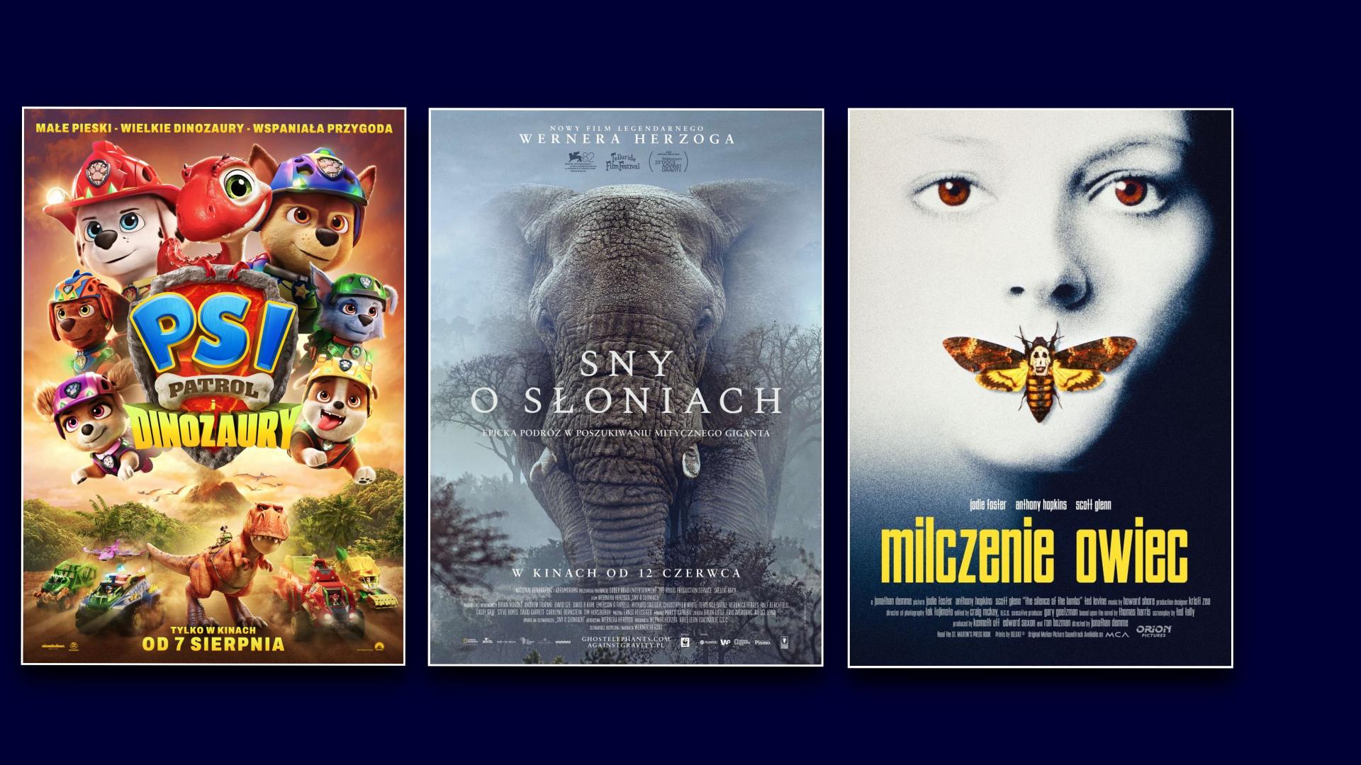 Zapowiedzi filmowe